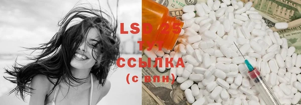 гидра Новодвинск