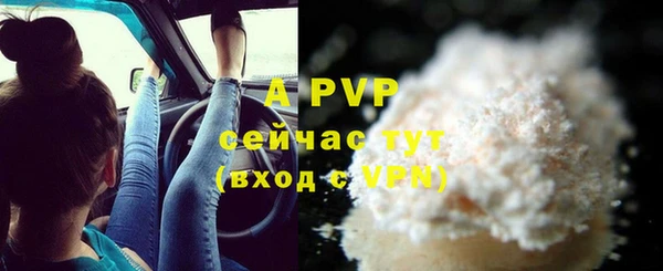 гидра Новодвинск