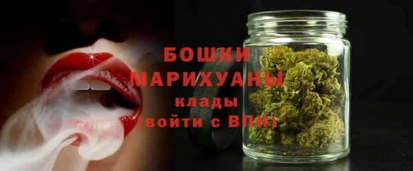 гидра Новодвинск