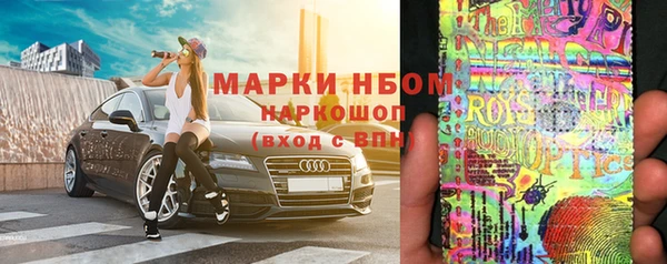 гидра Новодвинск