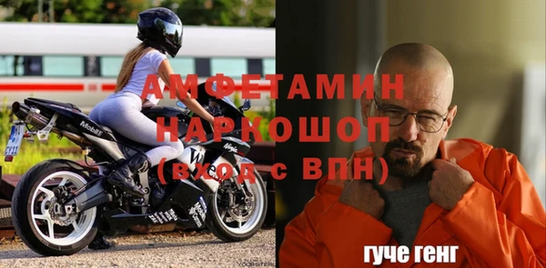 гидра Новодвинск