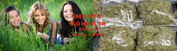 гидра Новодвинск