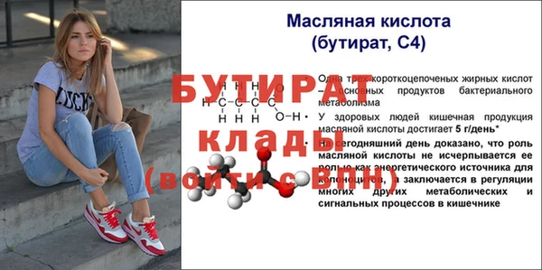 гидра Новодвинск