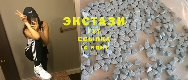 гидра Новодвинск