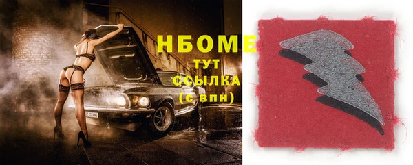 гидра Новодвинск