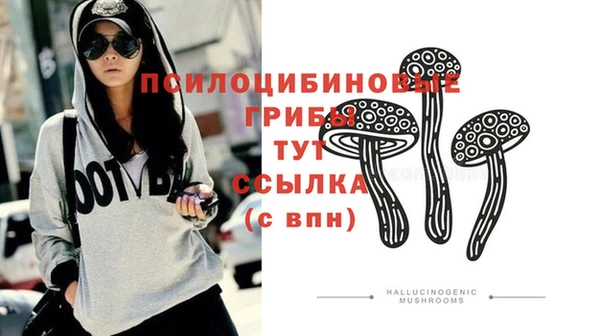 ПСИЛОЦИБИНОВЫЕ ГРИБЫ Нея