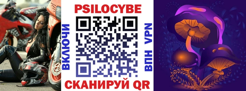 Галлюциногенные грибы Psilocybe  KRAKEN как зайти  Разумное 