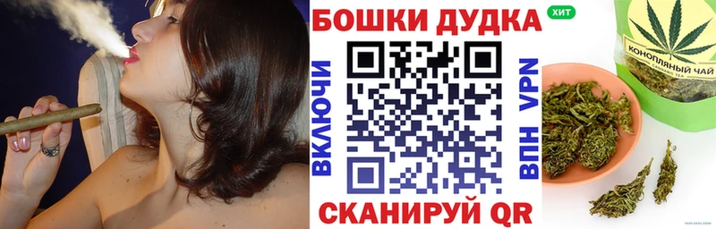Конопля OG Kush  цены   Разумное 